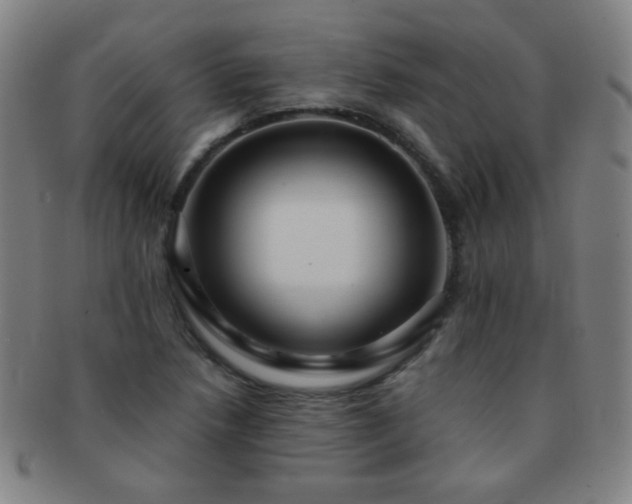 X0000091501218200708231437