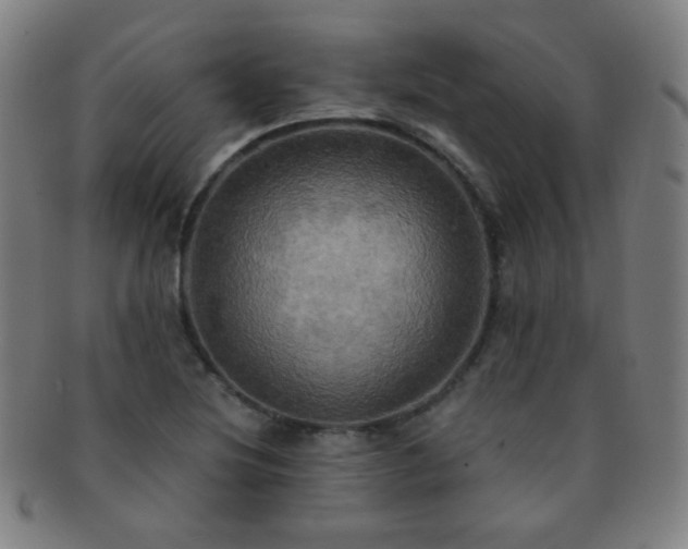 X0000091501220200708231437
