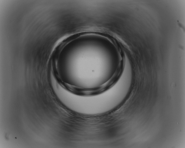 X0000091501222200708231437