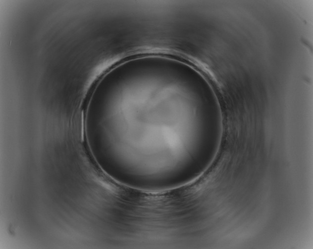 X0000091501223200708231437