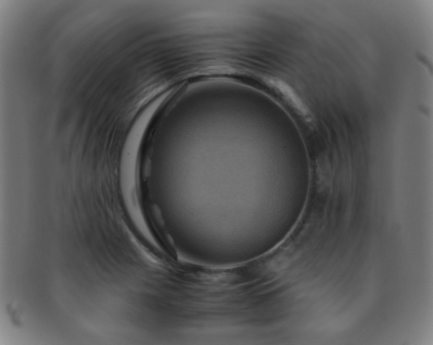 X0000091501225200708231437
