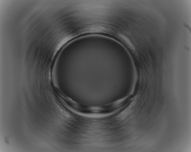 X0000091501226200708231437