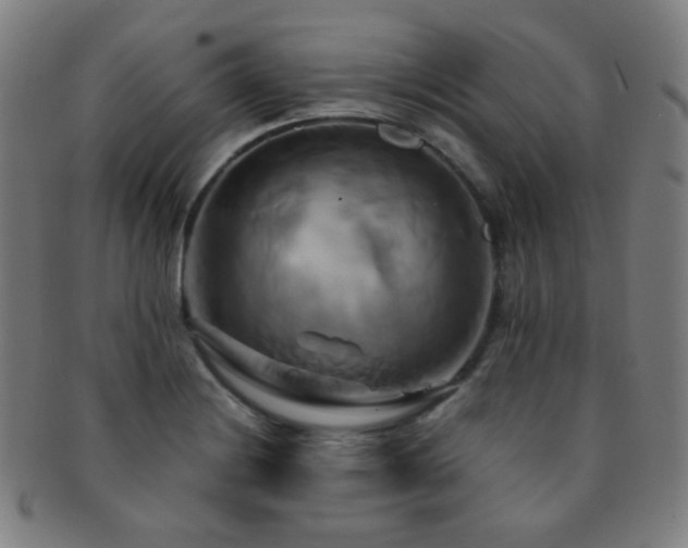 X0000091501228200708231437