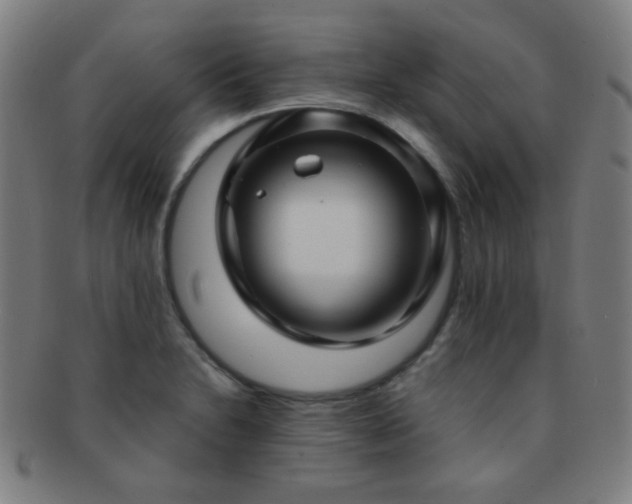 X0000091501230200708231437