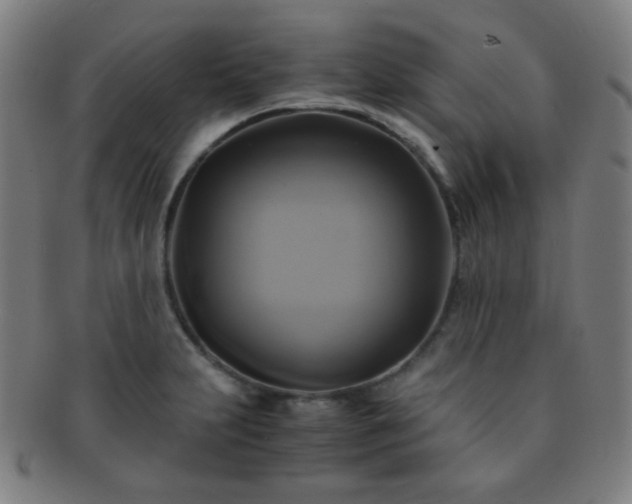 X0000091501231200708231437
