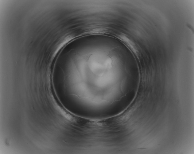 X0000091501235200708231437