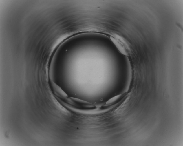 X0000091501238200708231437