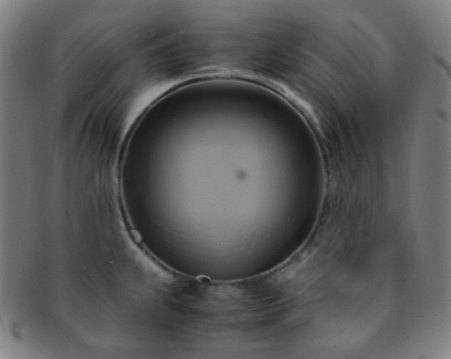 X0000091501239200708231437