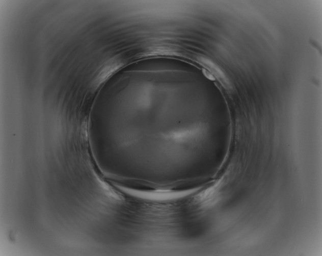 X0000091501241200708231437