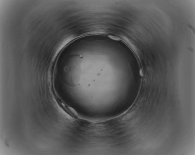 X0000091501243200708231437