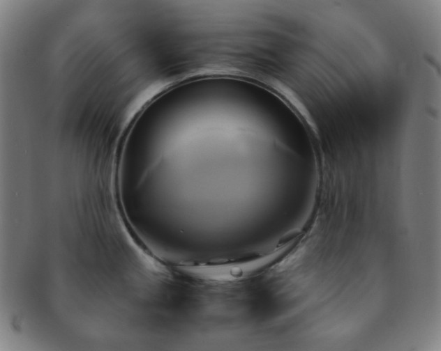 X0000091501245200708231437