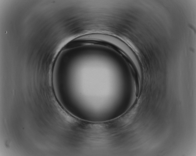 X0000091501246200708231437
