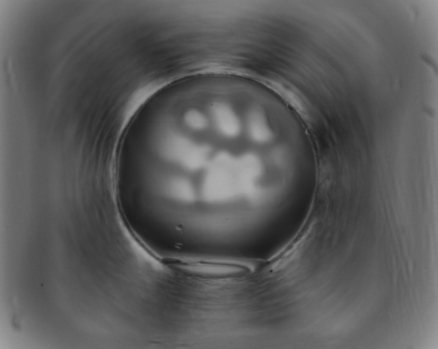 X0000091501247200708231437