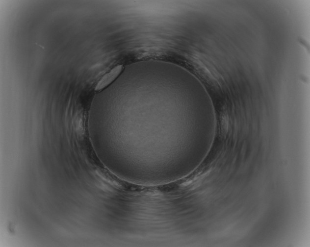 X0000091501250200708231437