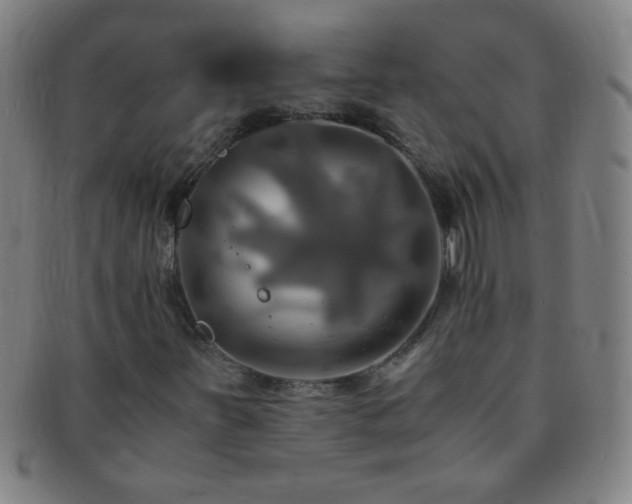 X0000091501251200708231437