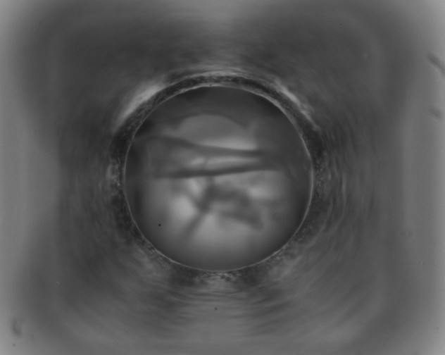 X0000091501255200708231437