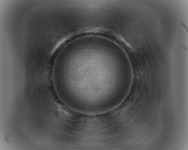 X0000091501256200708231437