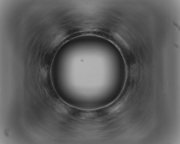 X0000091501257200708231437