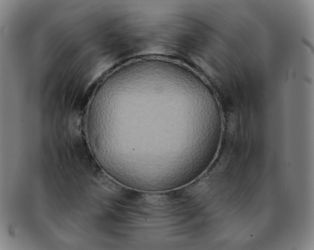 X0000091501258200708231437