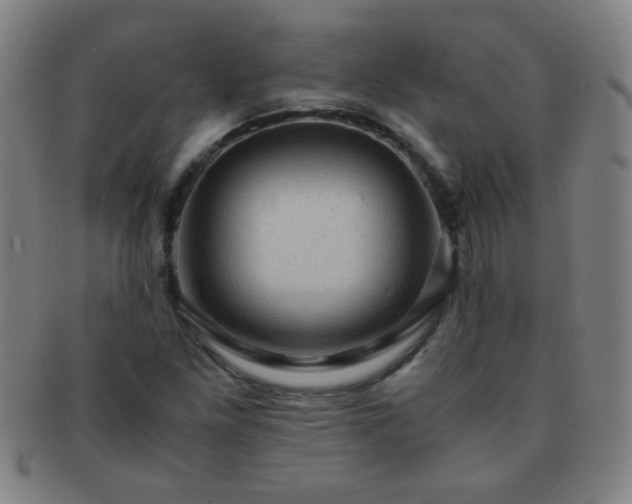 X0000091501261200708231437