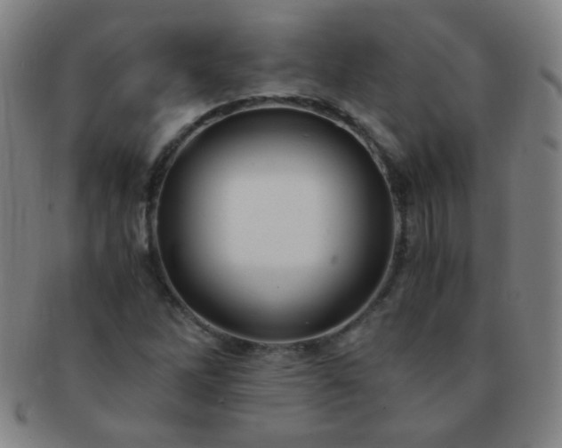 X0000091501262200708231436