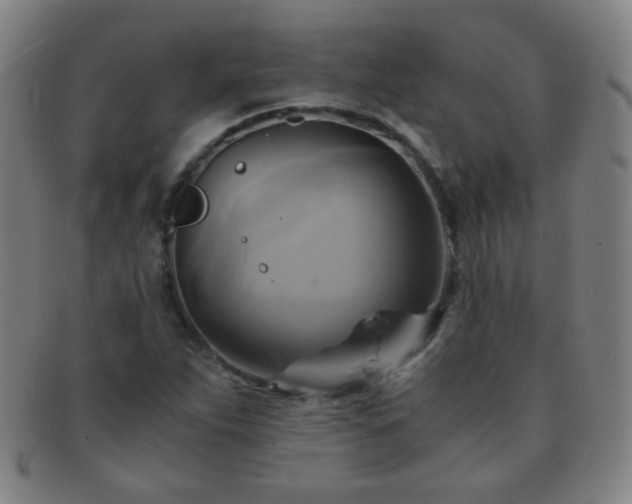 X0000091501263200708231436