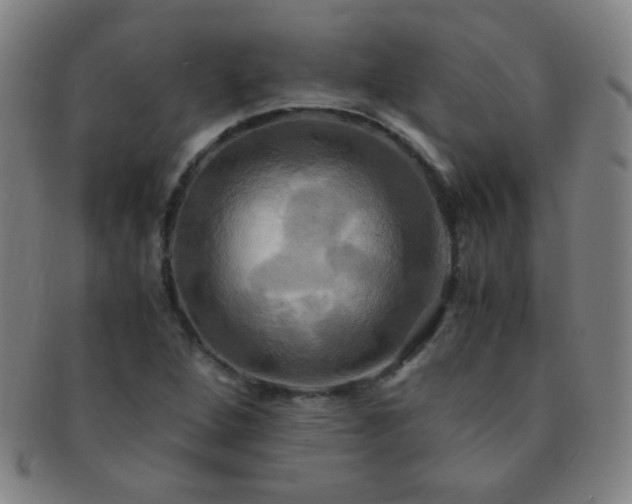 X0000091501264200708231436
