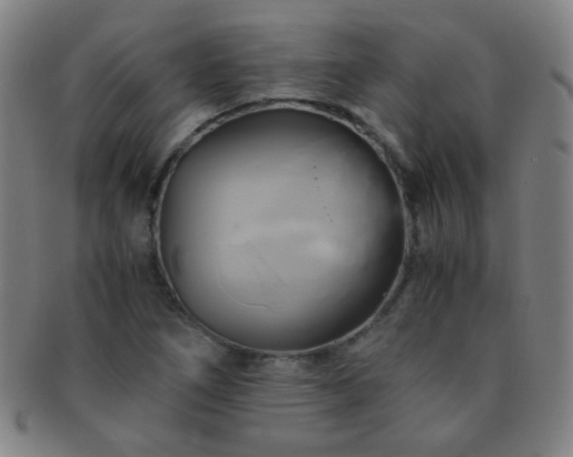 X0000091501266200708231436