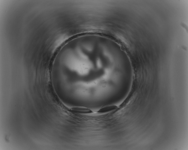 X0000091501267200708231436