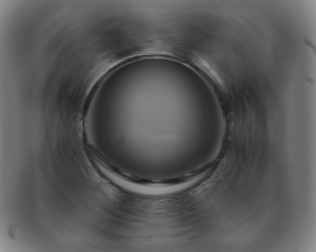 X0000091501268200708231436
