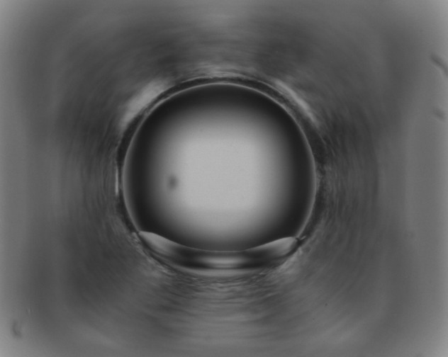 X0000091501269200708231436