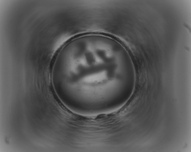X0000091501271200708231436