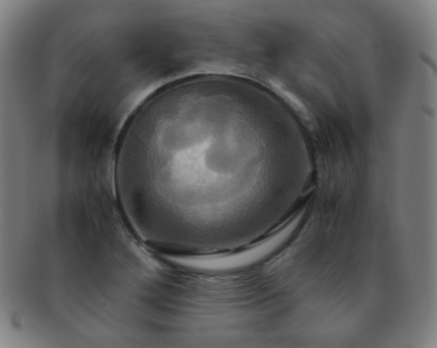 X0000091501272200708231436