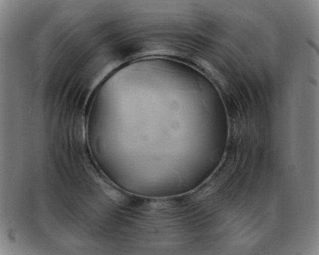 X0000091501274200708231436