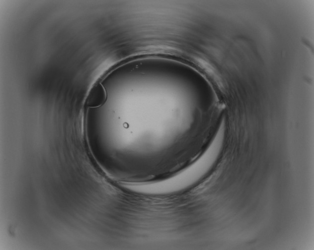 X0000091501275200708231436