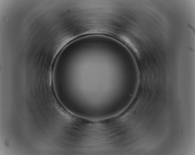 X0000091501276200708231436
