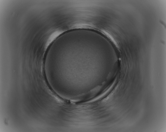 X0000091501277200708231436