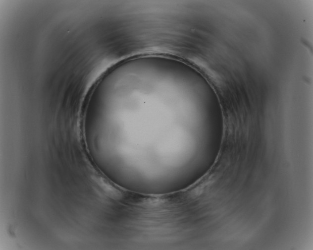 X0000091501278200708231436
