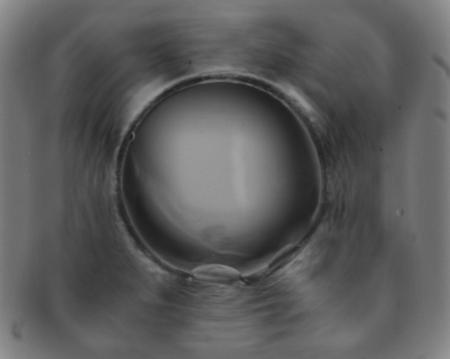 X0000091501279200708231436