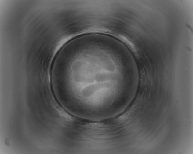 X0000091501280200708231436