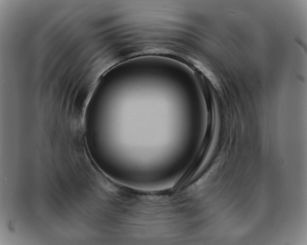 X0000091501281200708231436