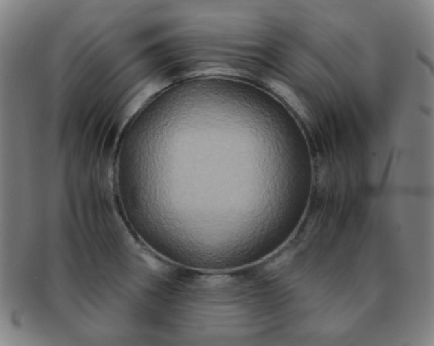 X0000091501282200708231436