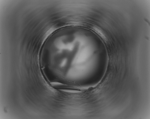X0000091501283200708231436