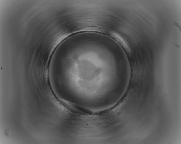 X0000091501284200708231436