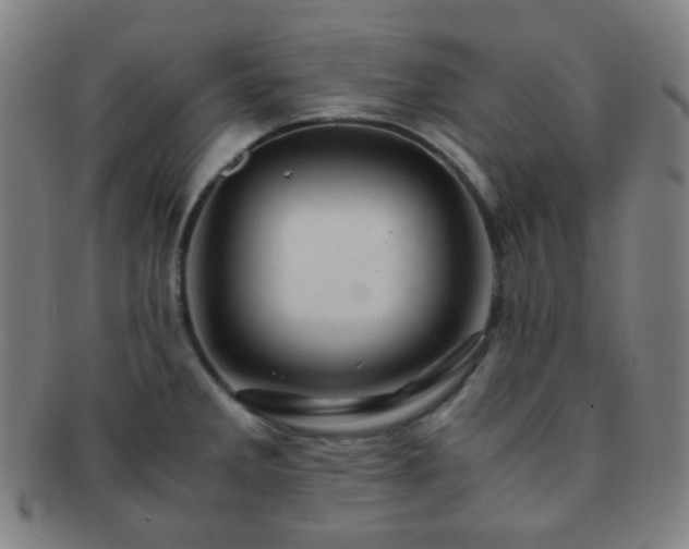 X0000091501285200708231436