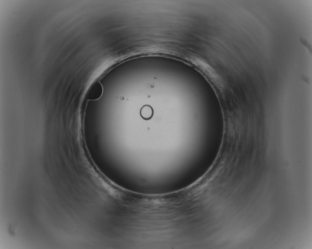 X0000091501286200708231436