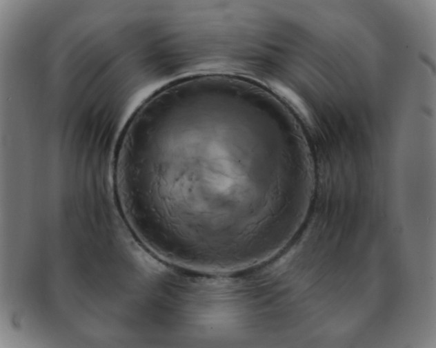 X0000091501288200708231436