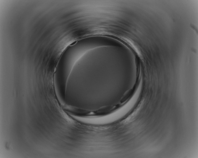 X0000091501289200708231436