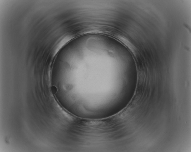 X0000091501290200708231436