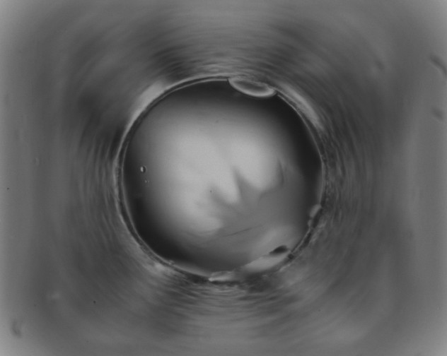 X0000091501291200708231436